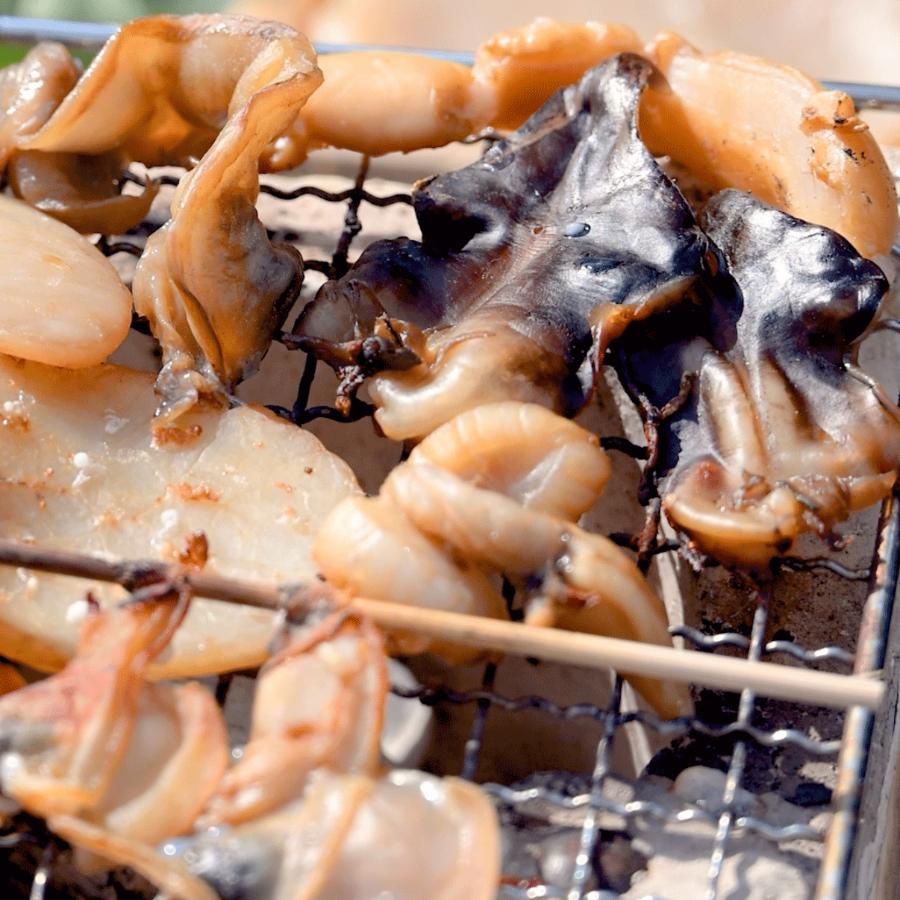 ＜岬水産＞天然「貝の干物」6種セット（串青柳・串とり貝・平貝・平貝ヒモ・とり貝・みる貝）