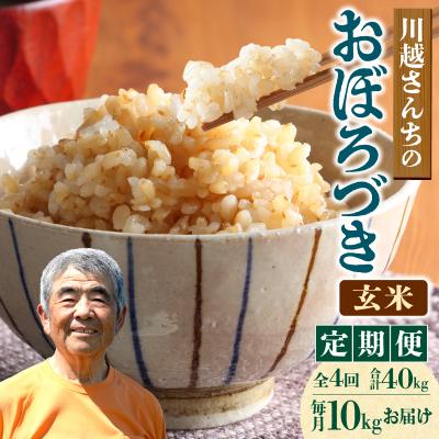 ふるさと納税 雨竜町 【定期便全4回】令和7年産 川越さんちの おぼろづき 玄米 10kg(5kg×2袋)毎月1回お届け