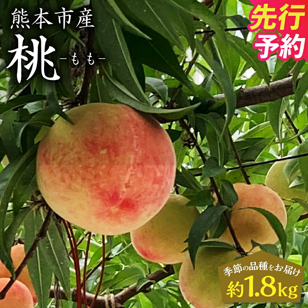 【ふるさと納税】＜ R8年熊本地震復興支援 ＞ 熊本市産 桃 約1.8kg 季節の品種をお届け 12玉～16玉 もも モモ フルーツ 果物 くだもの 果実 冷蔵 熊本市 熊本県 送料無料 【2027年5月下旬～7月上旬迄順次発送予定】
