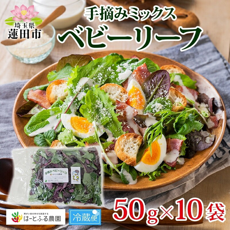 【ふるさと納税】手摘み ミックスベビーリーフ 50g 10袋 ベビーリーフ 野菜 ヤサイ 旬の野菜 葉物野菜 生野菜 ハーブ 緑 彩り 柔らかい 手軽 サラダ サンドイッチ トッピング アクセント はーとふる農園 国産 冷蔵 送料無料 蓮田市 埼玉県