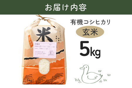 【令和7年産】有機 コシヒカリ 玄米 5kg 有機栽培 有機米 特別栽培米 合鴨農法 こしひかり お米 米 おこめ ブランド米 こしひかり 5キロ 国産 単一原料米 コメ こめ ご飯 銘柄米 茨城県産