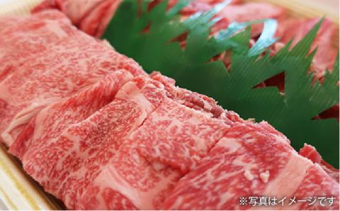 月限定10個の希少和牛！糸島和牛こまぎれ1kg トラヤミートセンター [AJD003]
