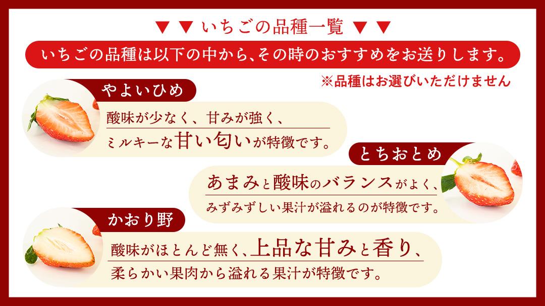 【2ヵ月 定期便】 完熟 いちご 4パック × 2回 合計 8パック （1P約260g） 国産 イチゴ 苺 果物 くだもの フルーツ かおり野 とちおとめ やよいひめ 茨城県産 KEK [BC074s