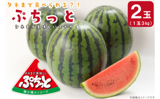 タネまで食べられる？！ タネまで美味しいスイカ「ぷちっと」約6kg（2玉）｜沖縄 沖縄県 豊見城市 ふるさと納税 果物 スイカ フルーツ すいか 送料無料(CI002)