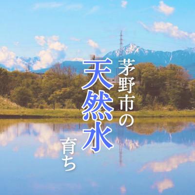 ふるさと納税 茅野市 霧ヶ峰の水が育んだお米(レンジアップごはん)10個 |  | 02