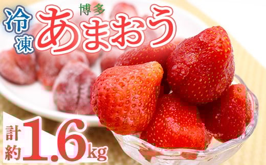 冷凍 博多あまおう (計約1.6kg) いちご イチゴ 苺 あまおう 冷凍いちご 冷凍イチゴ 国産 福岡県 果物 フルーツ アイス シャーベット ジャム スムージー 冷凍フルーツ ＜離島配送不可＞【ksg1744】【農産物直売所ほたるの里】