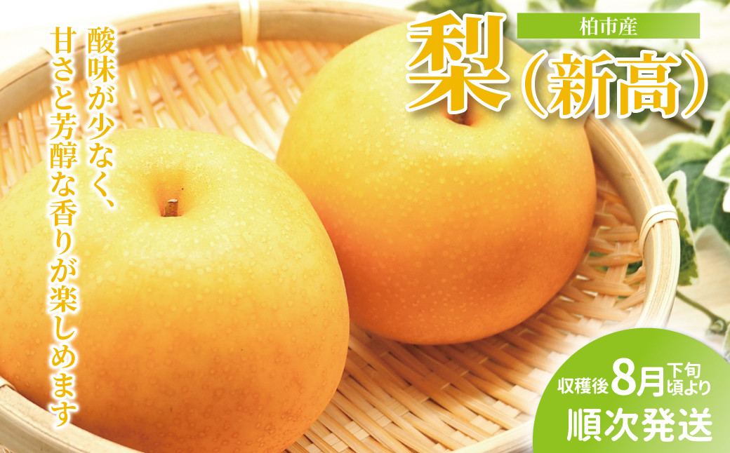 
柏市産　梨（新高）　5kg
