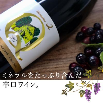 ふるさと納税 甲府市 ドメーヌQワイン　ピノ・ノワール　720ml |  | 02