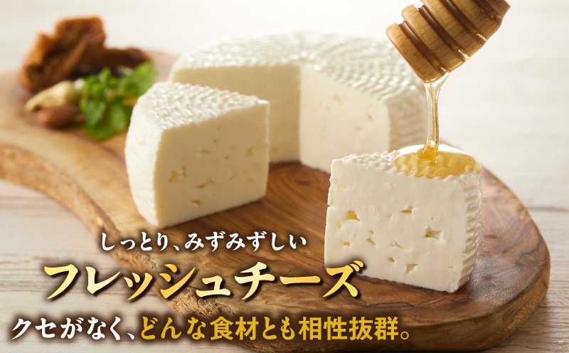 【国産】みずみずしいフレッシュチーズ「ケージョ・フレスカル」320g・S108