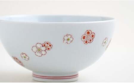 肥前赤絵窯元 鷹巣 梅文様ご飯茶碗2個セット 肥前赤絵窯元鷹巣 食器 うつわ 器 お茶碗 飯碗 ペア 陶磁器 有田焼 bm004