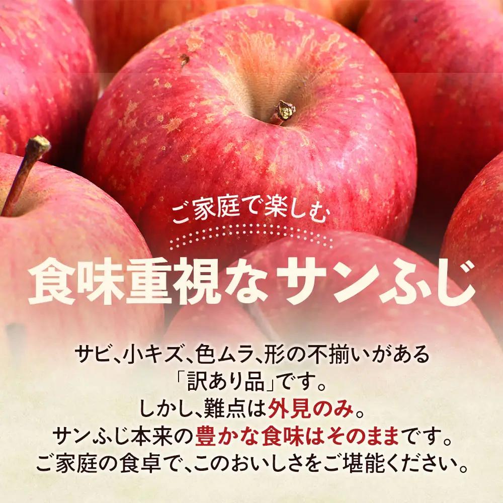【訳あり】 大容量 青森県産りんご 1月～ サンふじ 10kg りんご