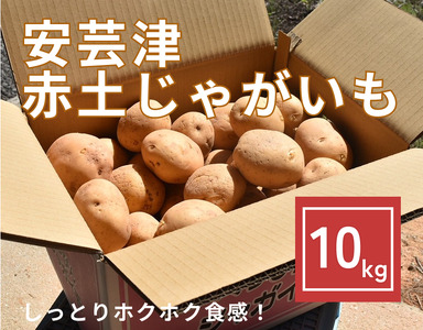 【予約商品】安芸津　赤土じゃがいも　10kg【配送時期:6月下旬～８月下旬/11月下旬～1月上旬】