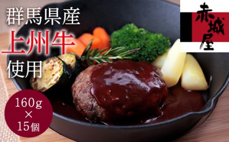 上州牛のハンバーグ（160g×15個セット） F20E-008