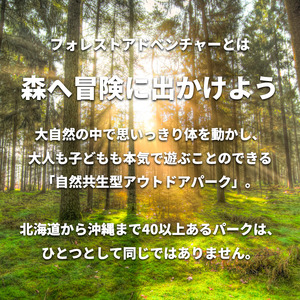 フォレストアドベンチャー・つくば＜キャノピーコース＞2名様体験チケット【1411697】