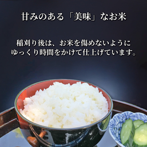 令和8年産 新米 きぬむすめ 3kg(約300g×2袋×5セット) ギフト 《2026年11月以降発送》