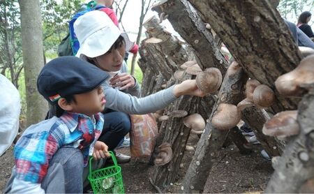 しい茸狩りと黒毛和牛・若鶏コース　ペアお食事券