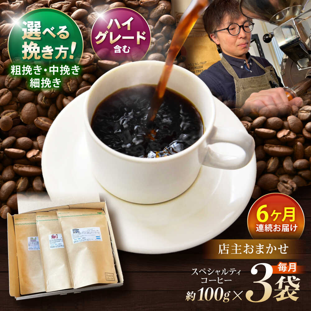 【ふるさと納税】【6回定期便】挽き方が選べます！自家焙煎ハイグレードコーヒーを含むおまかせセット(中挽き) / ハイグレードコーヒー ブレンド コーヒー 豆 中挽き / 諫早市 / R and R coffee labo [AHCJ031]