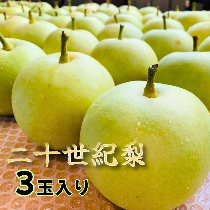 【ふるさと納税】【先行予約】井上農園 梨 ”二十世紀梨” 3玉入り（約1kg）｜鳥取 梨 なし ナシ 二十世紀梨 20世紀梨 果物 くだもの 和梨 フルーツ 2025収穫 数量限定【41031】