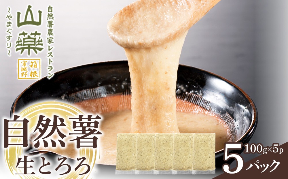 
                  自然薯の味をお楽しみください。自然薯生とろろ100ｇ×５ｐセット【とろろ 極上とろろ 山芋 箱根 お家用 家庭用 国産 セット商品 自然薯 味付とろろ 神奈川県 小田原市 】
                