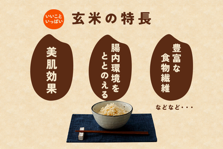 令和7年産にじのきらめき 玄米 10kg 3ヵ月 定期便 (合計30kg) 米 FH-022
