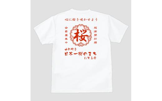MM14　帆前掛け風桜の会Tシャツ