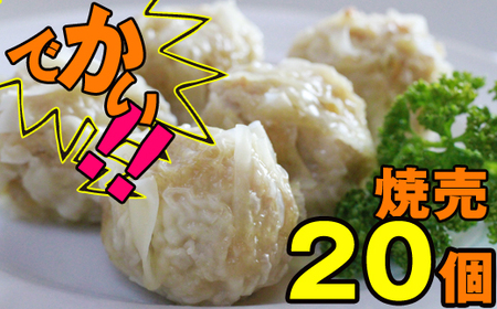 最高級 国産地鶏 南部かしわ 使用 焼売 20個 【九戸屋肉店】 鶏肉 鳥肉 とりにく 鶏 鳥 とり 肉 にく しゅうまい シュウマイ シューマイ 冷凍食品 冷食 惣菜 総菜 中華 中華惣菜 中華総菜 点心 大きい ジャンボ おかず おつまみ 弁当 高級 国産 地鶏 贈り物 家庭用 自宅用 仕送り 人気 おすすめ