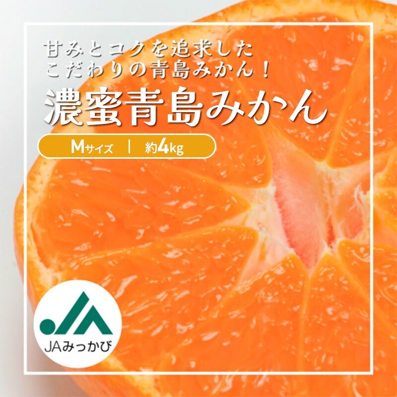 【ふるさと納税】JAみっかび 濃蜜青島みかん M 約4kg 青島 三ヶ日みかん みかん ミカン 蜜柑 ギフト 甘い 糖度 静岡 浜松市　お届け：2026年2月末～3月末まで