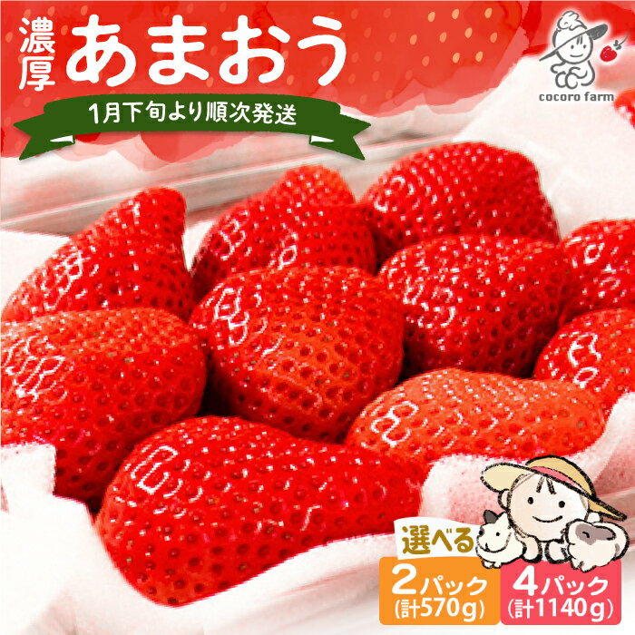 【ふるさと納税】【先行予約】【2026年1月下旬〜4月中旬発送】ココロファームの濃厚あまおう 2パック / 4パック (選べる個数)《豊前市》【ココロファーム】[VAE007] 苺 いちご あまおう 福岡県産 【※北海度・沖縄および離島への配送不可】
