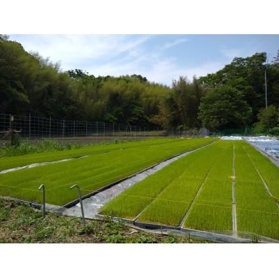 ふるさと納税 小竹町 小竹町産夢つくし 30kg 玄米 生産農家から直接お届けします |  | 03