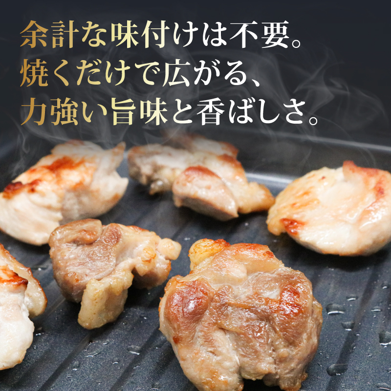 ごめんケンカシャモ焼肉セット 8人前 焼肉 焼肉セット BBQ 焼き肉 ギフト 冷凍 しゃも シャモ 軍鶏 国産鶏肉 チキン とりにく 鶏肉 国産鶏 おすすめ 高知県 南国市