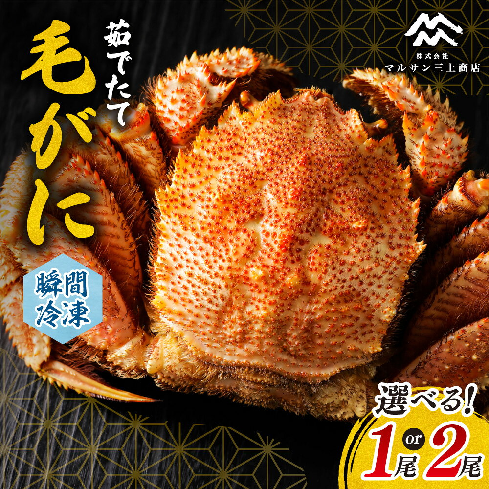 【ふるさと納税】 北海道産 毛ガニ 【 選べる 個数 】 1kg前後 1~3尾 茹でたて 瞬間冷凍 毛がに 姿 厳選 蟹 カニ 濃厚 ミソ 蟹みそ かに味噌 海鮮 水産 魚介 冷凍 かに 毛蟹 北海道 札幌市