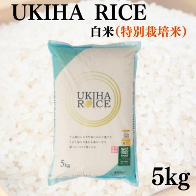 ふるさと納税 うきは市 UKIHA RICE 白米5kg(特別栽培米)063-0064