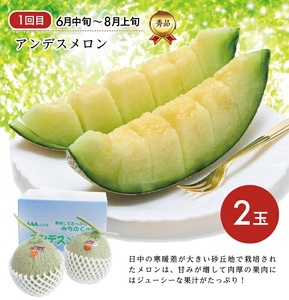 SE0336　【3回定期便】庄内の口福フルーツマルッとお届け便2025 (アンデスメロン、刈屋梨、庄内柿)