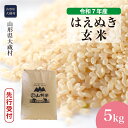 【ふるさと納税】＜令和7年産米先行受付＞ 大蔵村 はえぬき ＜玄米＞ 5kg（5kg×1袋）