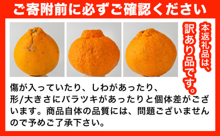 訳あり 不知火 5kg しらぬい デコポン