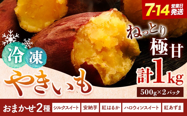 
                  冷凍焼きいも 約1kg 《7-14日以内に出荷予定(土日祝除く)》のざわ農園 真空パック 詰め合わせ 品種ランダム 2品種 シルクスイート 安納芋 ベニアズマ 紅はるか ハロウィンスイート 北海道 日高町
                