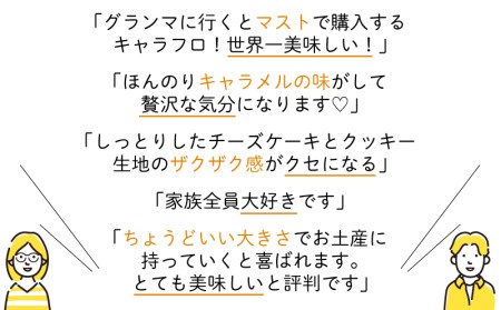 【価格改定予定】12カ月定期便 チーズケーキ キャラフロ 6本入り 2箱セット キャラメル 濃厚 スイーツ 洋菓子 食べきり 贈答 母の日