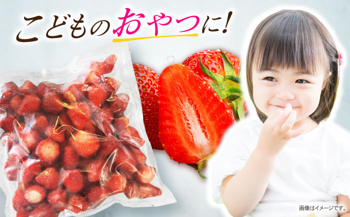 【業務用】大容量 長崎いちご 4袋セット / 冷凍 冷凍フルーツ いちご イチゴ 苺 2kg / 諫早市 / エスジーエス株式会社 [AHEQ005]