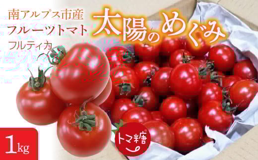 6-180 フルーツトマト「太陽のめぐみ」1kg　ALPBI001
