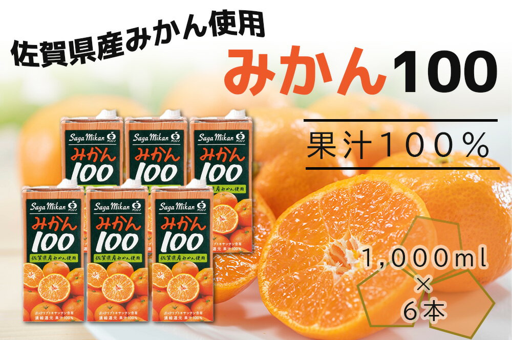 【ふるさと納税】 みかん100　1LX6本入り（DV226）