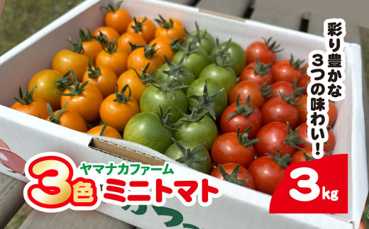 3色ミニトマト　3㎏（1.5㎏×2箱）  SHAK002 ふるさと納税 トマト リコピン サラダ イタリアン 健康 美容 千葉県 白子町 送料無料