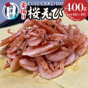 【ふるさと納税】 桜エビ 釜揚げ 冷凍 焼津 40g×10袋 計400g 駿河湾産 海の宝石 a10-632