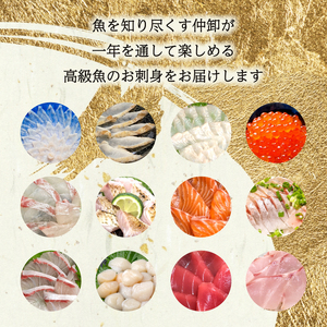 【 刺身 】 高級刺身定期便 12回 EY