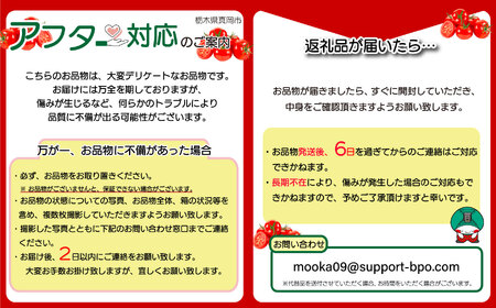 ミニトマト 太陽の恵みをたっぷり浴びた はにかみトマト 2kg  真岡市 栃木