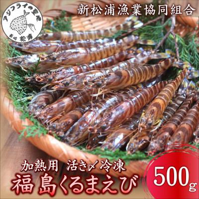 ふるさと納税 松浦市 加熱用 活き〆冷凍福島くるまえび500g