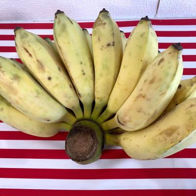 ふるさと納税 豊見城市 沖縄県豊見城市産　琉球黄金バナナ約3kg |  | 02