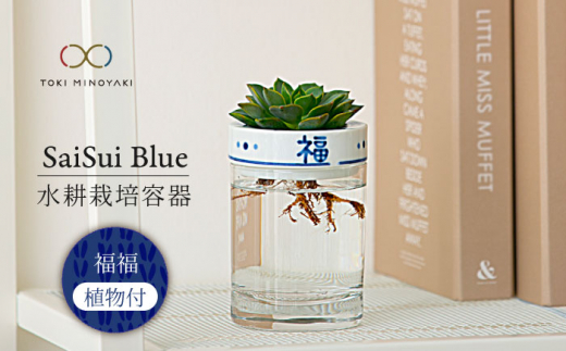 
【美濃焼】SaiSui Blue（福福）植物付き【大東亜窯業】 [MAG067]
