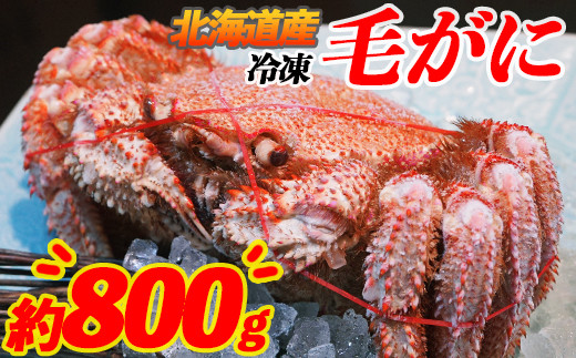 
北海道産 毛がに 約800g 北海道産 ボイル済 冷凍 毛ガニ 毛蟹 南幌町 ことぶきや NP1-465
