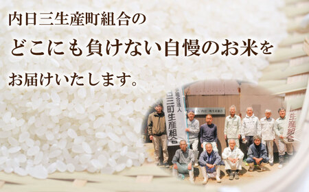 令和7年産 コシヒカリ 10㎏ 隔月3回 (合計30kg) 山口県産 特別栽培エコ50 (化学農薬・肥料50％以上削減/精米まで一貫加工) 下関 《内日三町：DZ》