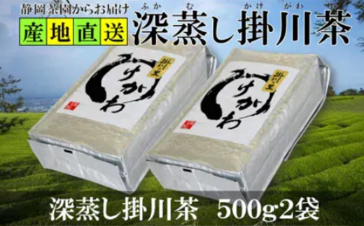 
            深蒸し掛川茶(掛川の里)500g2袋 静岡県掛川産二番茶100% たくさんお茶を飲む方におすすめ【1294055】
          